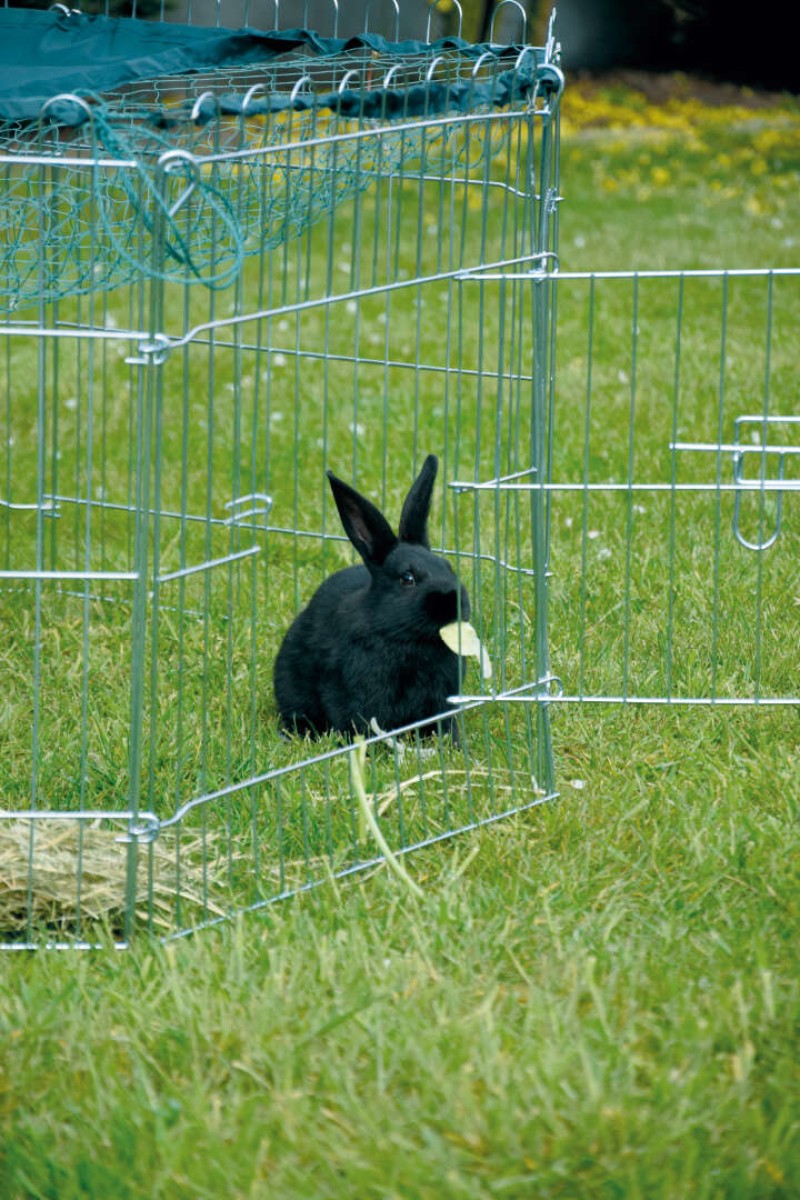 dobar Freilaufgehege